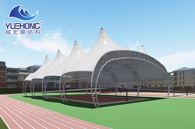 ���Ĥ�Y��